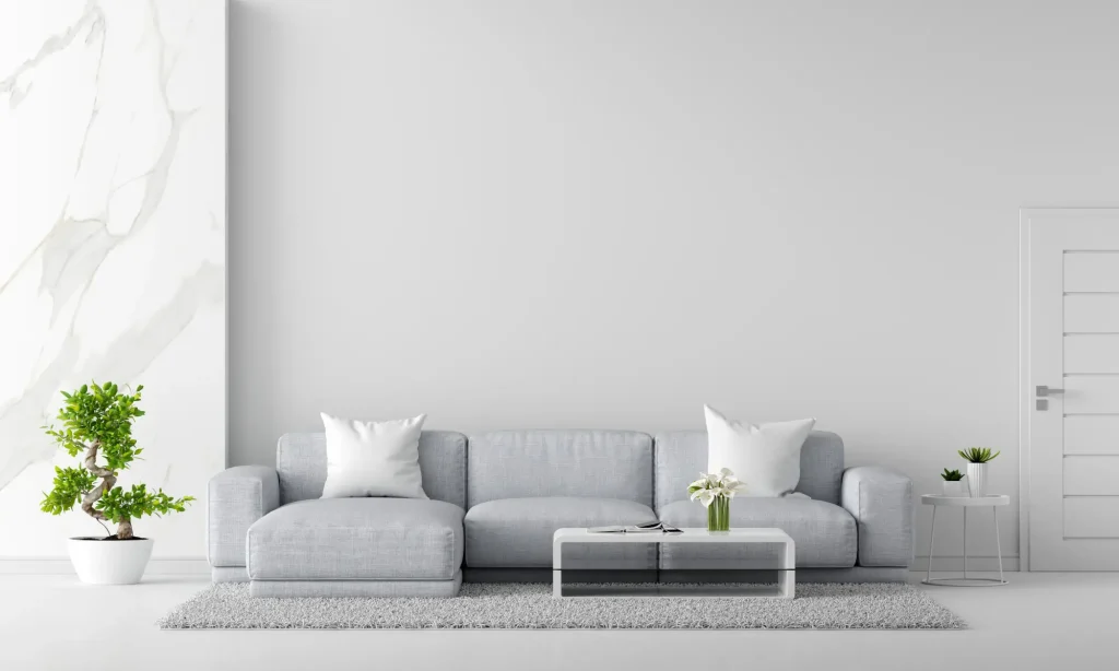 gray-sofa-white-living-room-interior-with-copy-space-3d-rendering